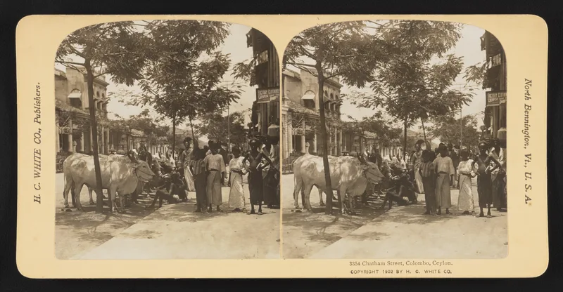 Chatham Street, Colombo, in 1902. Kovoor's challenges were issued from his house in Colombo.