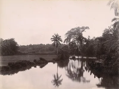 A backwater in Travancore, about 1900. Kovoor was born in Travancore, now part of Kerala, in 1898.