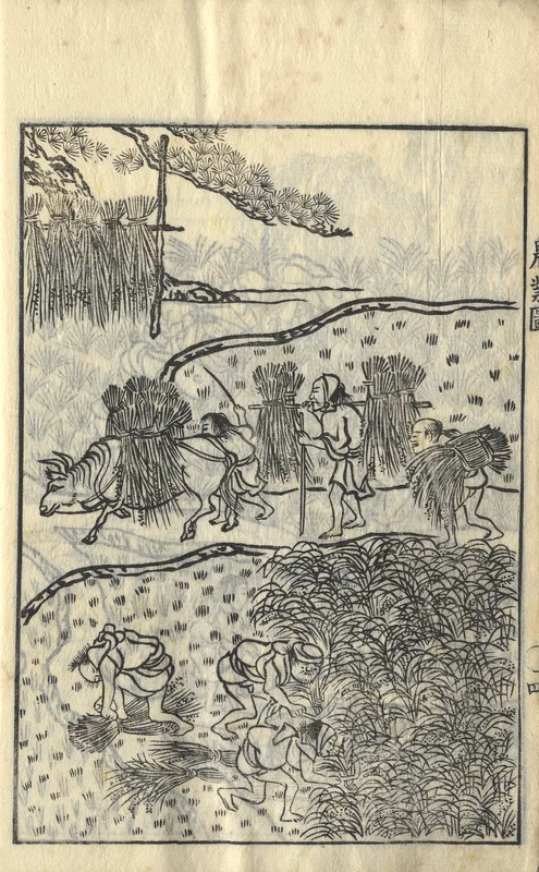 A page on the rice harvest from Miyazaki Yasusada's farming manual Nōgyō zensho, in the edition of 1782.