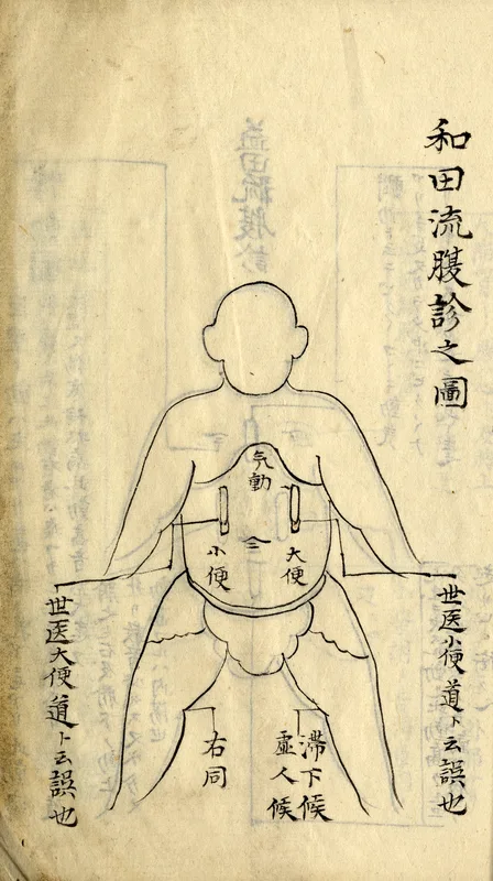 An Edo-period medical manuscript showing diagnosis by palpation. Andō practised medicine in Hachinohe for about fifteen years.
