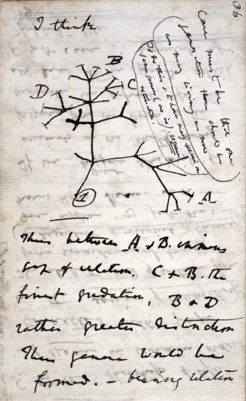 Darwin's first sketch of a tree of life, in his notebook of 1837, headed "I think". Aron Ra says that a branching diagram in a dinosaur book made sense to him in second grade, as Genesis did not.