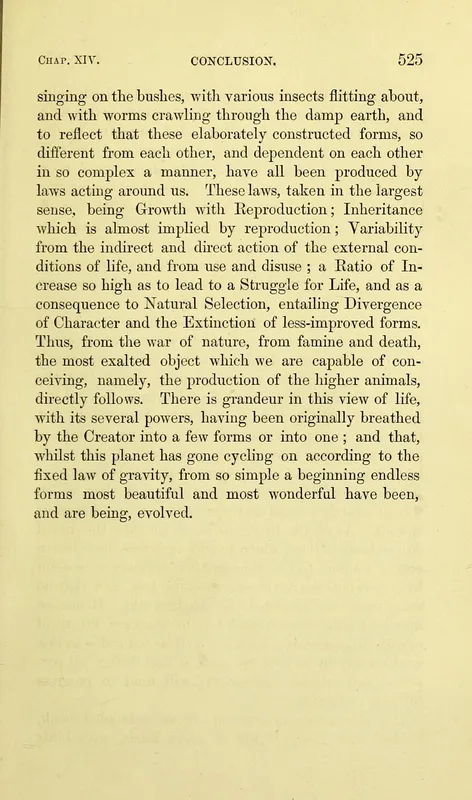 The third edition, 1861, p. 525: "breathed by the Creator."
