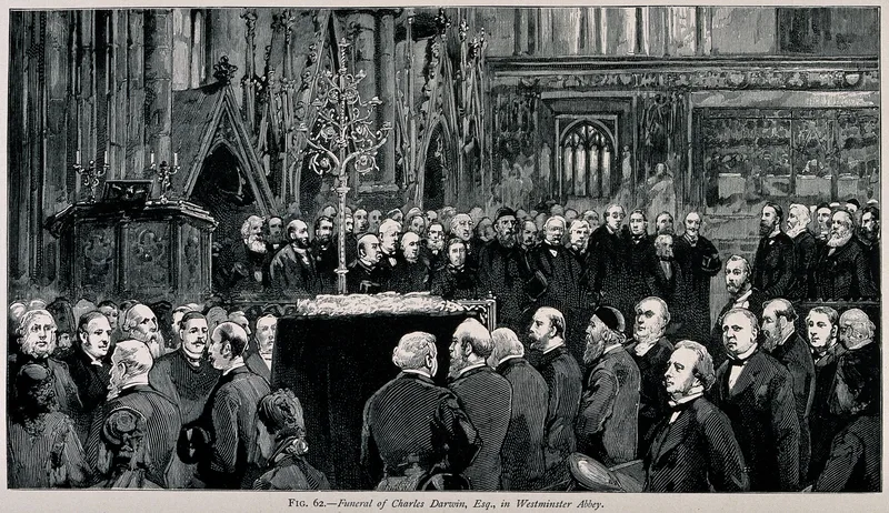 Darwin's funeral in Westminster Abbey, 26 April 1882.