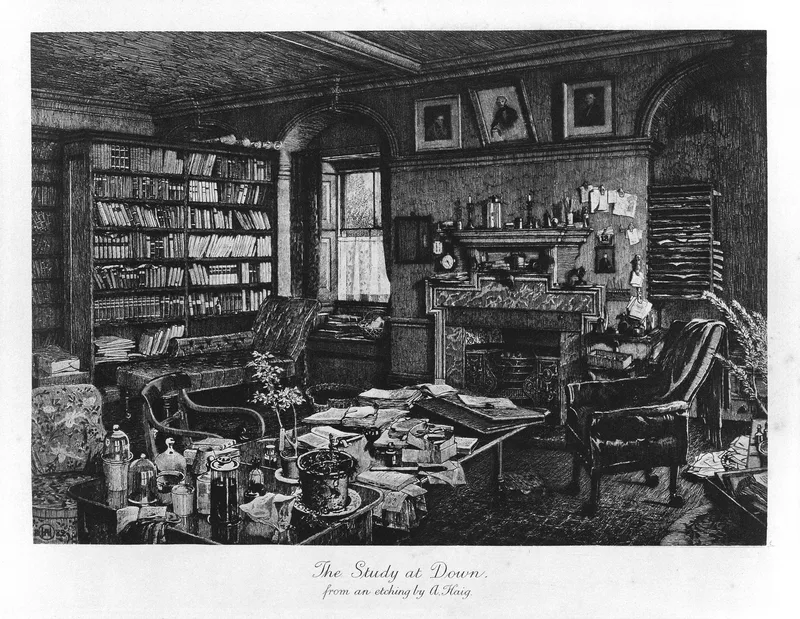 Darwin's study at Down House, in an engraving of 1882.