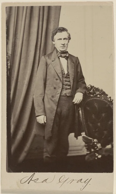 Asa Gray, Darwin's Christian friend and ally, 1861.