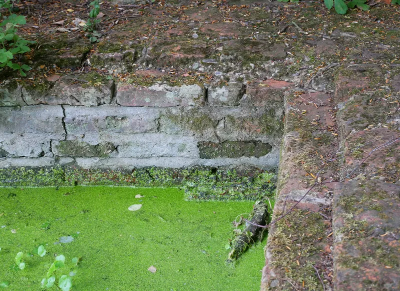 The moat at Scadbury Manor, Thomas Walsingham's house, where the Council's messenger found him.