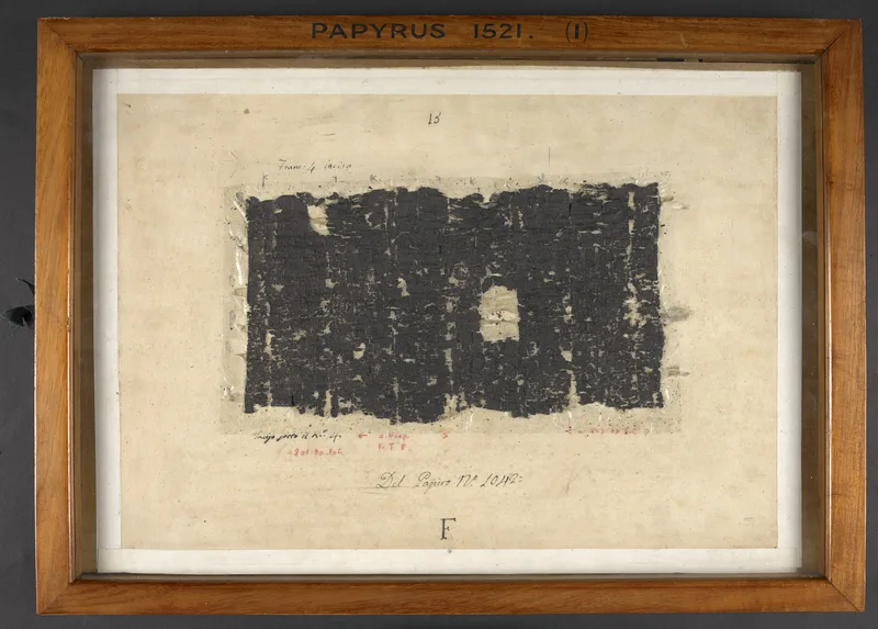 A page of a Herculaneum papyrus, carbonised in the eruption of 79 CE: part of the Epicurean library of the Villa of the Papyri.