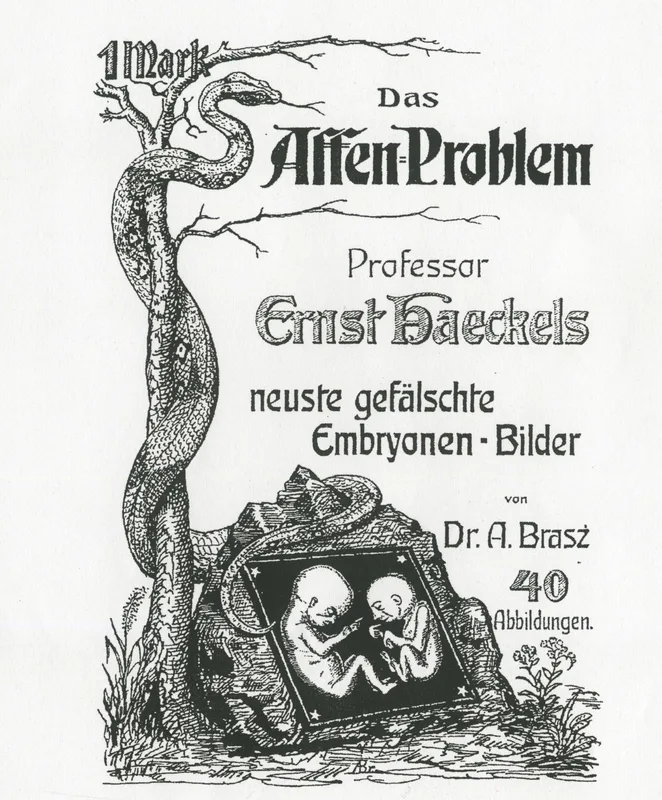 The title page of Arnold Brass's pamphlet against Haeckel, Das Affen-Problem, 1908.