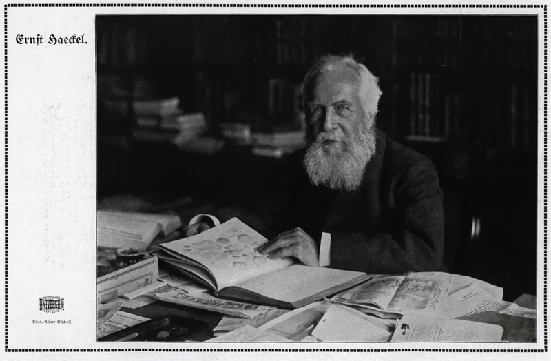Haeckel in 1914.