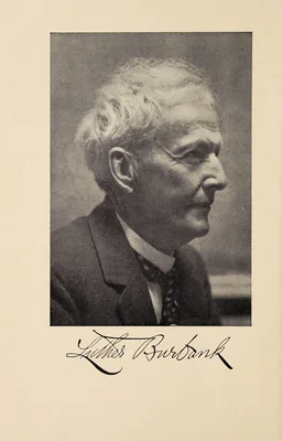 Portrait of Luther Burbank