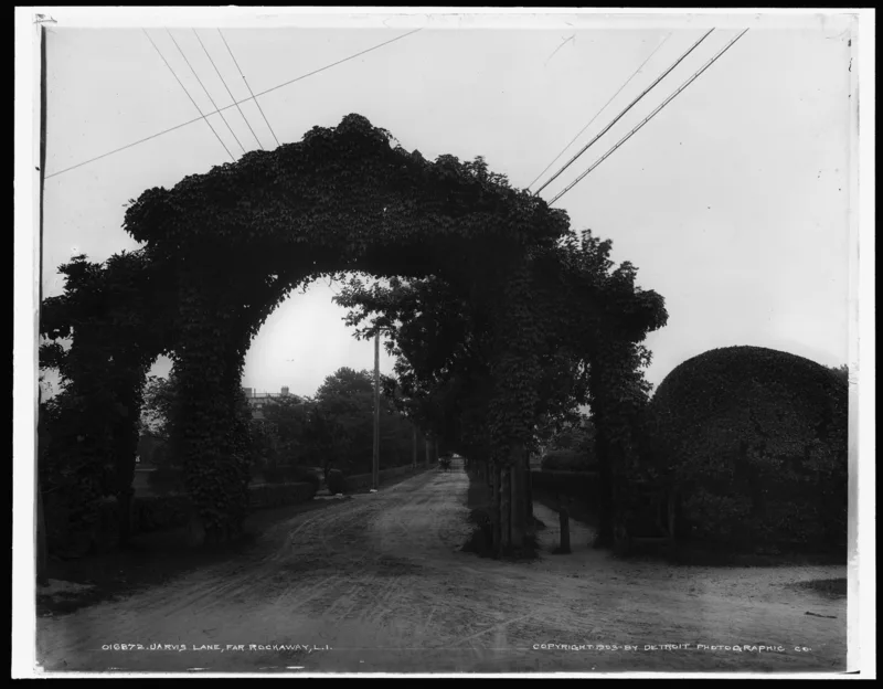 Jarvis Lane, Far Rockaway, photographed for the Detroit Publishing Company in 1903.