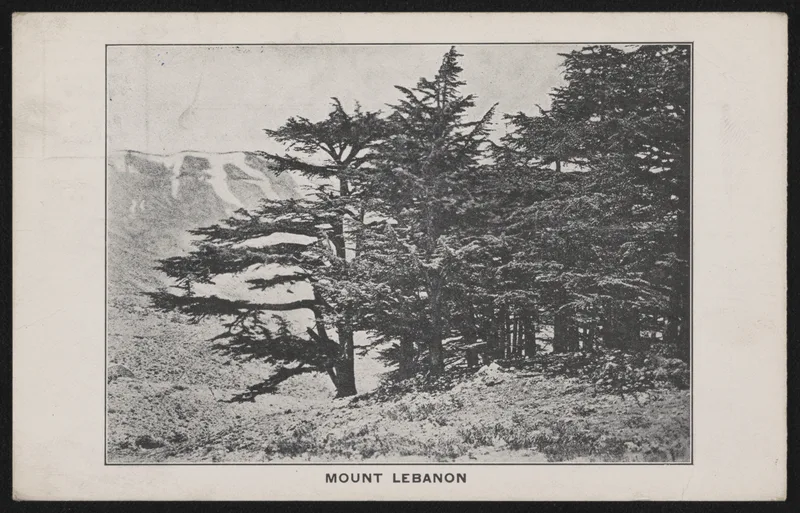 Mount Lebanon on a postcard of 1910. Shumayyil was born at Kafr Shima, in the hills above Beirut.