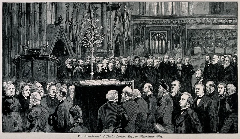 Charles Darwin's funeral in Westminster Abbey, 26 April 1882, which Hardy attended.