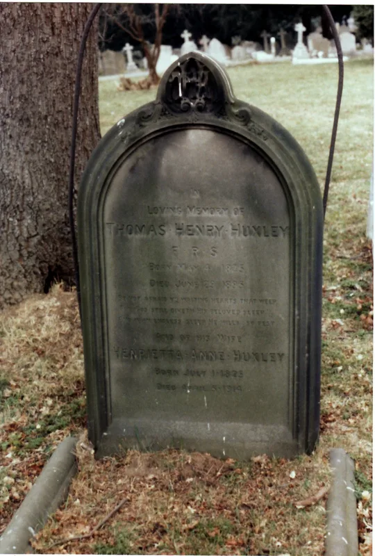 Huxley's grave at Finchley, where he was buried beside his son Noel.