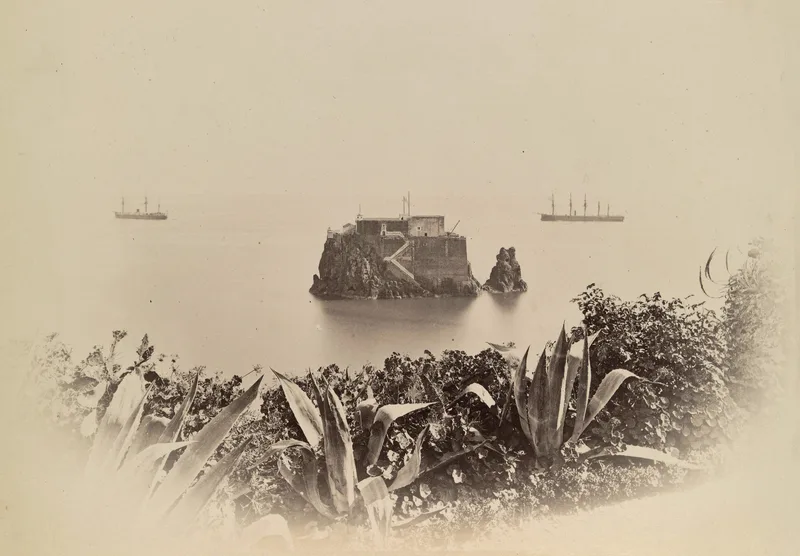 Funchal, Madeira, in 1880.