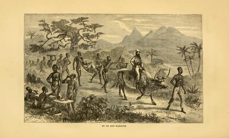 Reade riding an ox in Angola, a plate from Savage Africa (1864).